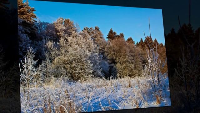 Зимушка ..зима Шкитун Юрий (Nataliorion) смотреть онлайн