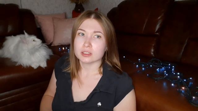Будни с мейн-кунами / кот залез на самый верх, как снимать? смотреть онлайн