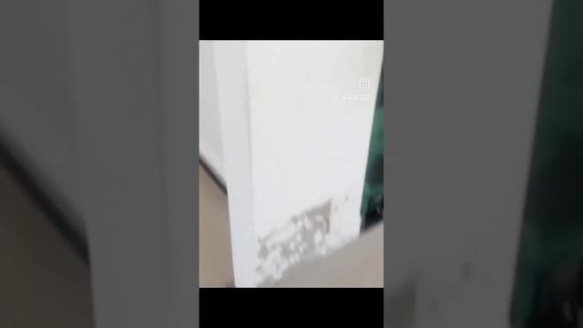 Vivo Para Realizar Sonhos, Com Meu Trabalho!