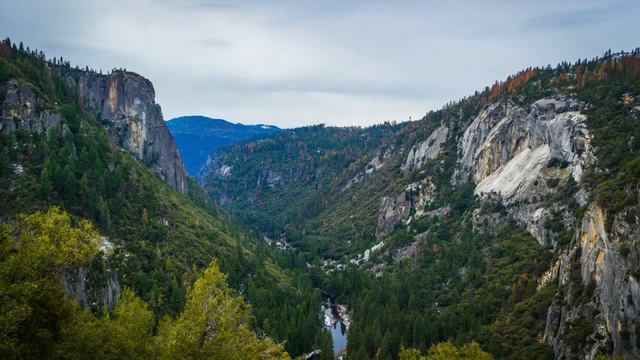 Relaxing Nature Music | Healing Soul, Body & Spirit | Meditation | Soft Saxophone Music смотреть онлайн
