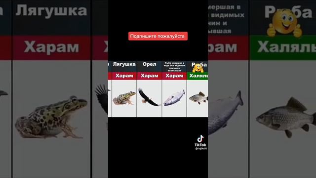 Каждый мусульманин должен узнать об этом#рекомендация