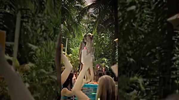 BEST TIKTOK EDIT |  TIKTOK MEMES FUNNY MOMMENT😁😁