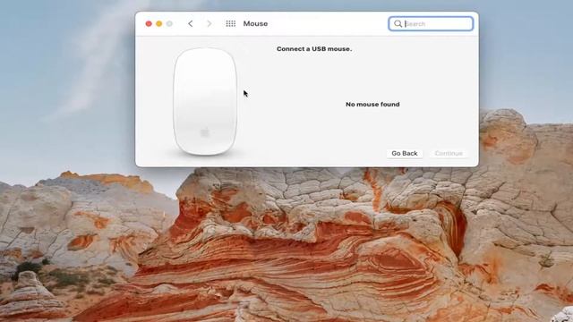 How To Connect Bluetooth Mouse To MacBook [Tutorial]