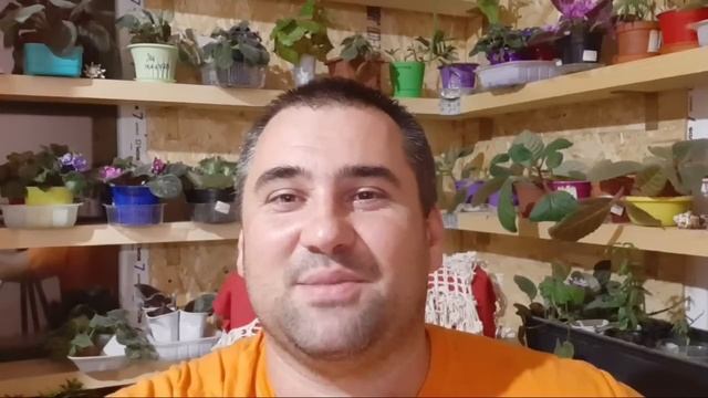 На Часок?ответы на Вопросы... смотреть онлайн