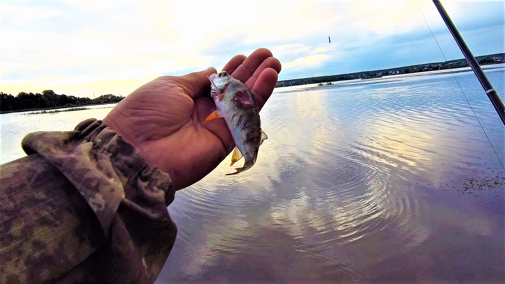 ОКУНЬ НА ОТВОДНОЙ ПОВОДОК спиннинговая рыбалка на утреннем пруду смотреть онлайн