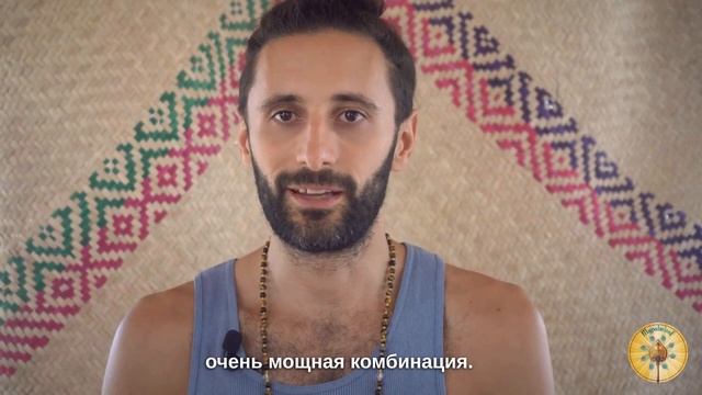 СПАНДА*ОТЗЫВ О ЧТЕНИИ ПАЛЬМОВЫХ ЛИСТЬЕВ* смотреть онлайн