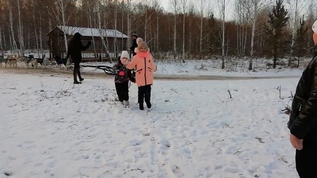 ВЛОГ/Хаски-центр Аквилон смотреть онлайн