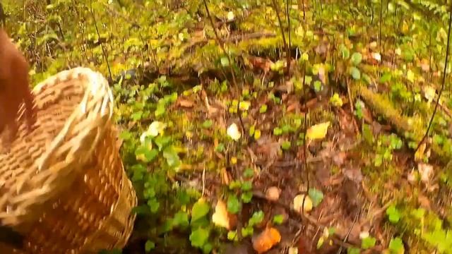 Детали чистоты