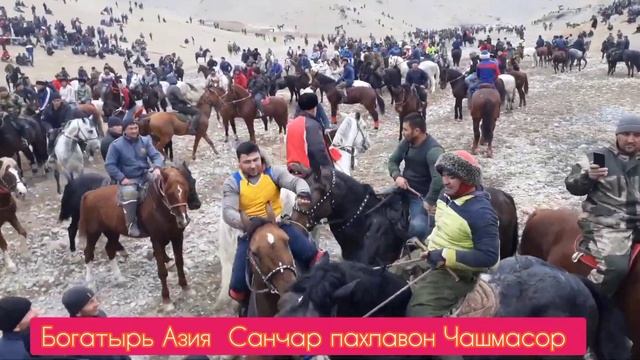бузкаши Санчар пахлавон Чашмасор асп бо номи Панчшер смотреть онлайн