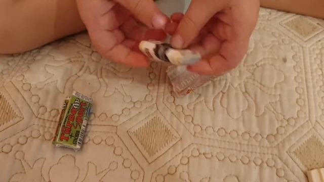 Собираем наклейки от жвачки Turbo #turbo смотреть онлайн