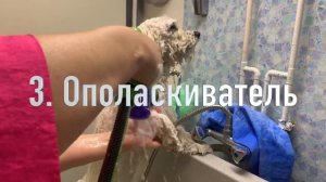 КАК И ЧЕМ НЕОБХОДИМО  МЫТЬ # БИШОН -ФРИЗЕ  , 5 ОСНОВНЫХ ПРАВИЛ ОТ ГРУМЕРА ЯНЫ ВЕБЕР ,ЭТО ВАЖНО !