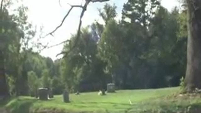 Zombie virus infected cemetery смотреть онлайн