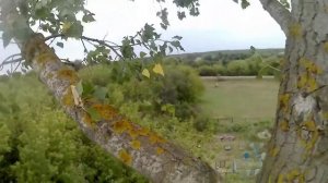 арбористика 48 на кладбище спиливание тополя