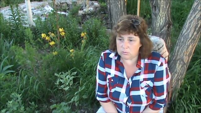 Чтобы мечты сбывались смотреть онлайн