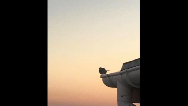 Музыку может делать каждый! смотреть онлайн
