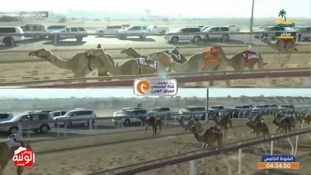 الشوط 5 (اسطورة) لـ حمد سعيد بن راشد الخاطري 7:39:62 ، مهرجان الذيد لسباقات الهجن 2024/3/3 لقايا