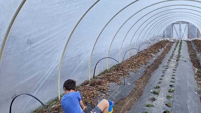 Зима вернулась, а у нас прут огурчики! Забрали заказ для пасеки. Провели крутой выходной с друзьями смотреть онлайн