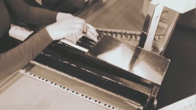 Русские арфы. Гусли. Бах - Гуно Ave Maria Russian Harps