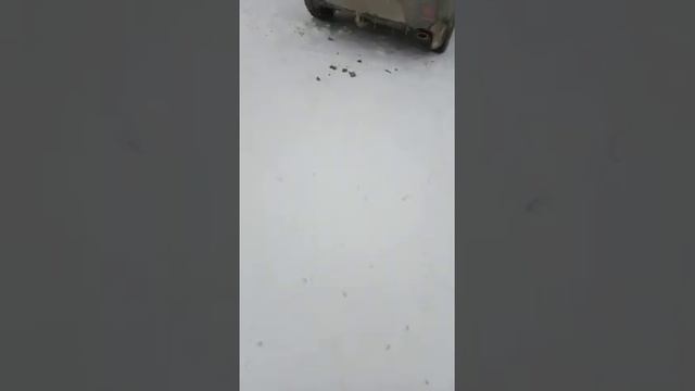Джек с сыном играет немецкий овчарка смотреть онлайн