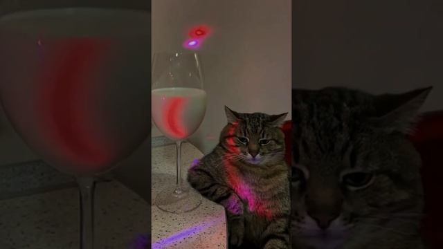 Когда уже осознал весь смысл этой жизни смотреть онлайн