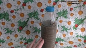 Как раскислить грунт под рассадой