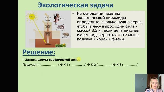 Трофические связи в экосистеме. Биология 9 класс. смотреть онлайн