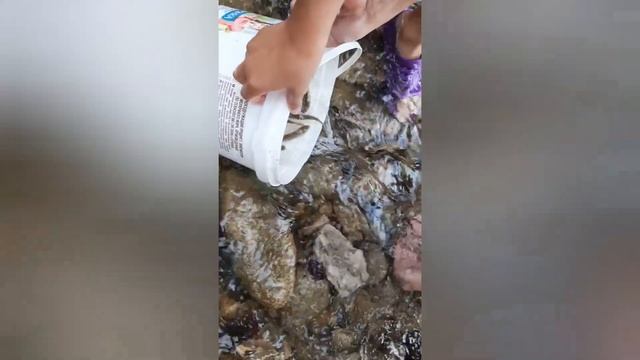 Варенье из чернослива. Установка витража. смотреть онлайн