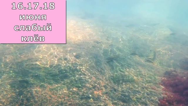 Календарь рыбака на Июнь 2022 / Прогноз клева рыбы на Июнь / Лунный календарь клева рыбы июнь 2022. смотреть онлайн