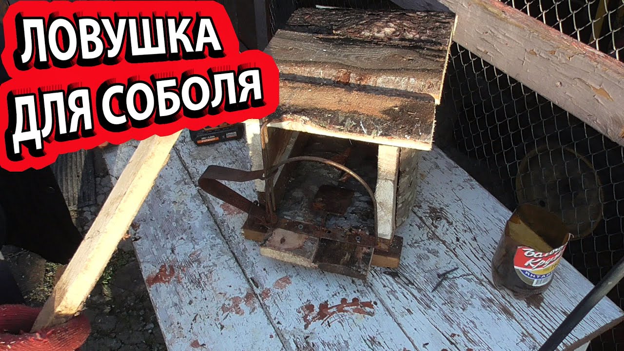 Ящик с капканом КД-140 Ловушка для соболя своими руками смотреть онлайн