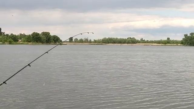 Бешенный клёв Карася на реке Днепр 23.05.2022 смотреть онлайн
