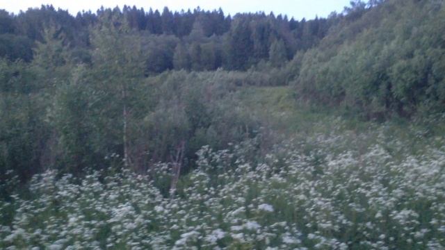 ПРОГУЛКА С ГЕРДОЙ смотреть онлайн