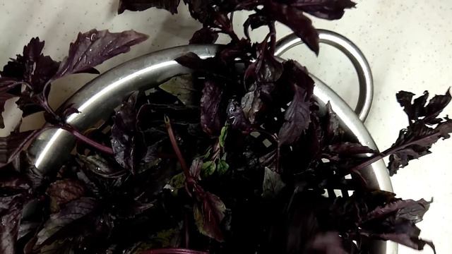 БАЗИЛИК СУШЕНЫЙ НА ЗИМУ#reallife