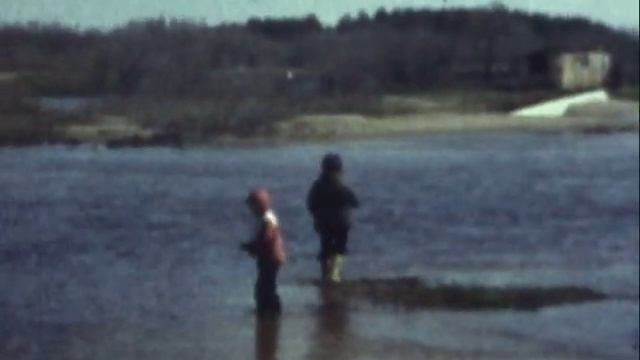 Весна 1981. Медведица