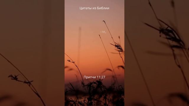 Притчи 11:27 #shortsvideo #shortsyoutube #beliveingod #shortvideo #верю #мудрость #притчи смотреть онлайн