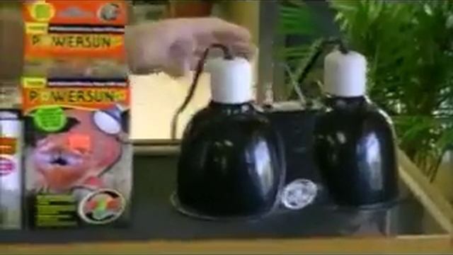 Monitor Care video смотреть онлайн