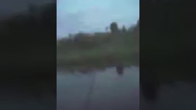 рыбалка после дождя и вот результат смотреть онлайн