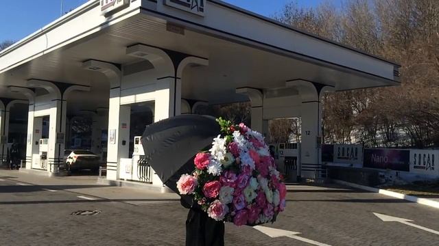 Alisa's Wonderland On Socar Ukraine