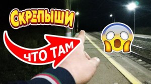 В поисках Скрепышей ищу свою коллекцию! Пришел на станцию! Кто и что меня ждет?