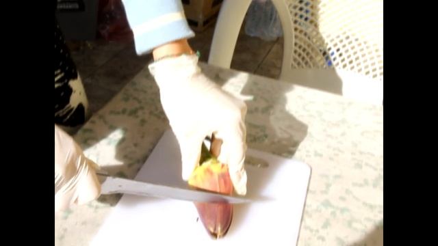 Вкусные рецепты дома