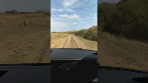 каньон реки Селеты. Казахстан