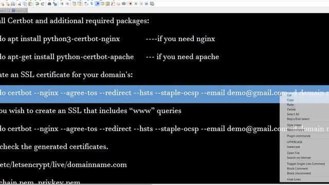 How to Install Certbot and secure NGINX with free SSL certificates. смотреть онлайн