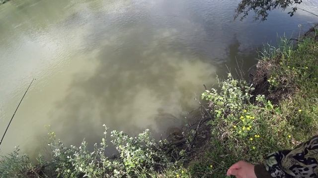 рыбалка на кубани рыбалка на реке кубань рыбалка на сома рыбалка варениковская варениковка Кубань смотреть онлайн