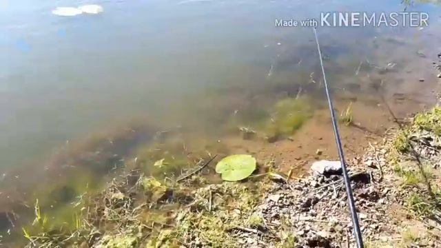 С .днем блогера. Поздравляю всех блогеров с праздником.. смотреть онлайн