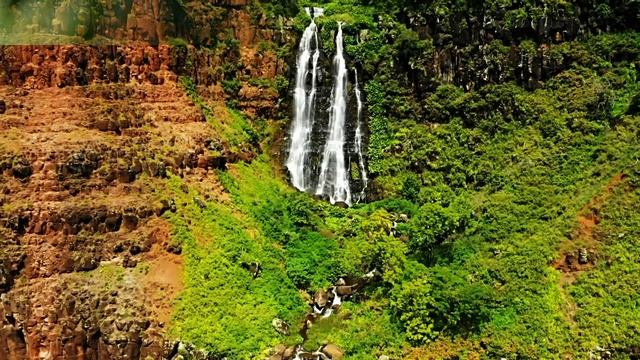 Лесной Водопад. Звуки Природы и пение птиц 1 час для отдыха смотреть онлайн