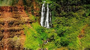 Лесной Водопад. Звуки Природы и пение птиц 1 час для отдыха