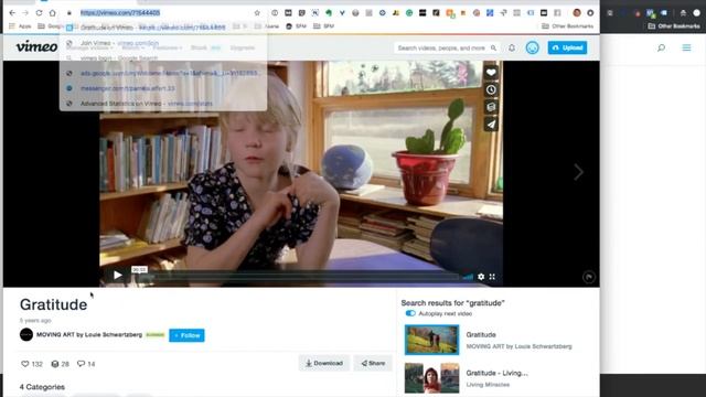 How To Embed Vimeo Videos Into Divi WordPress Website смотреть онлайн
