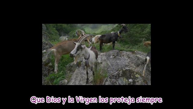 SANTA CECILIA 2022 смотреть онлайн