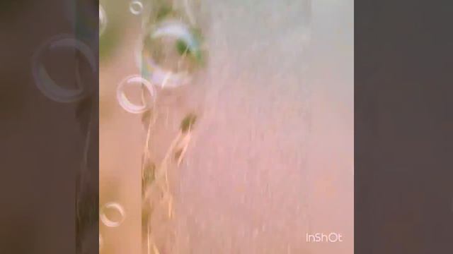 УЧУСЬ КАТАТЬСЯ НА РОЛИКАХ В СЕЛЕ/ смотреть онлайн