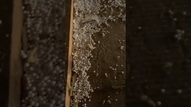 Утепление потолка как утеплять потолок жилого дома самому Утепление минеральной ватой