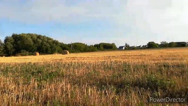 Вернуться в детство. смотреть онлайн